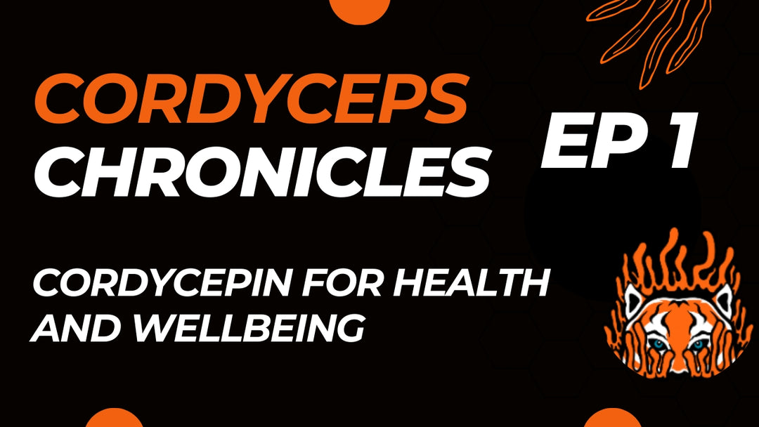 Therapeutic Potential of Cordycepin - Meta-Analysis | Cordyceps Chronicles Ep1