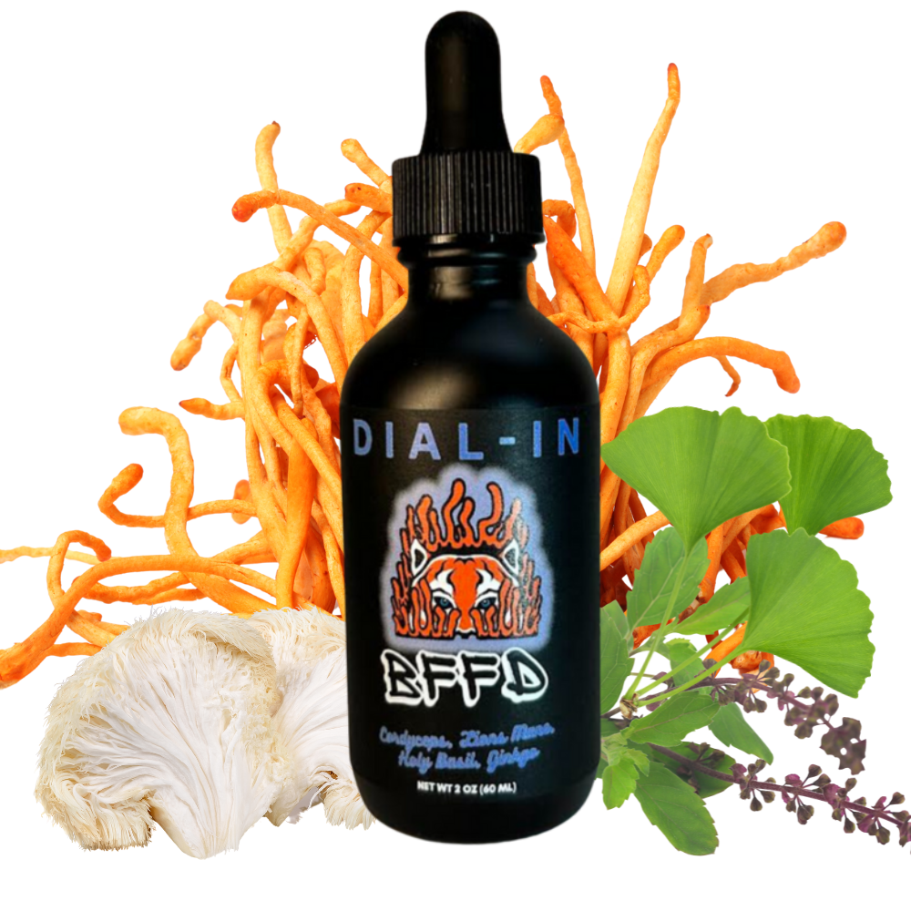 Dial-In Cordyceps Tincture