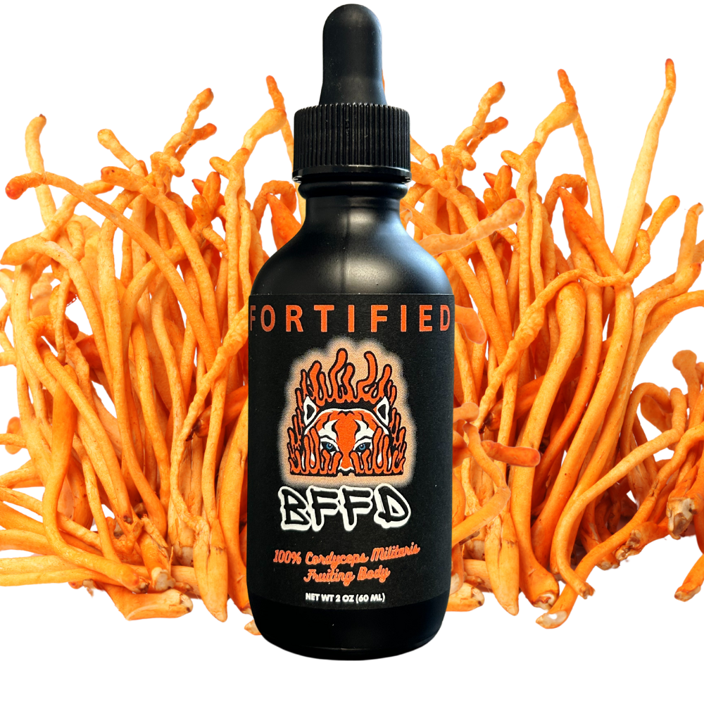 Fortified Cordyceps Tincture